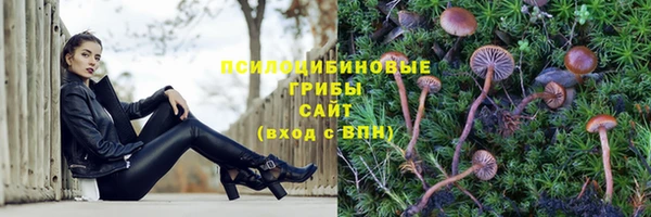 MDMA Горняк