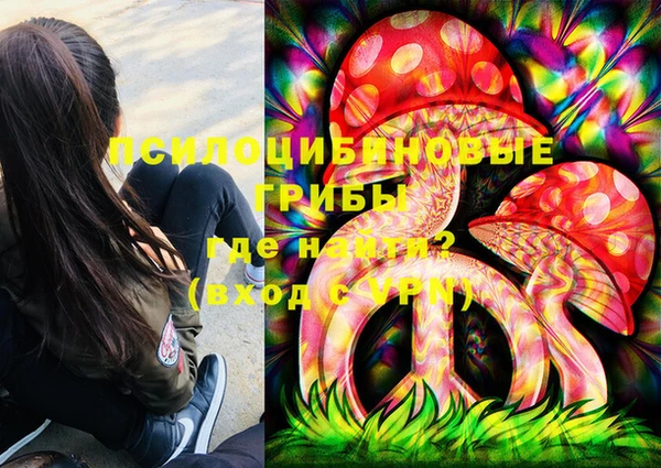 дурь Горно-Алтайск