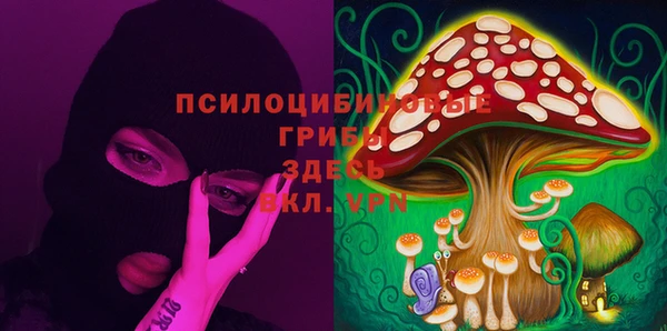 дурь Горно-Алтайск
